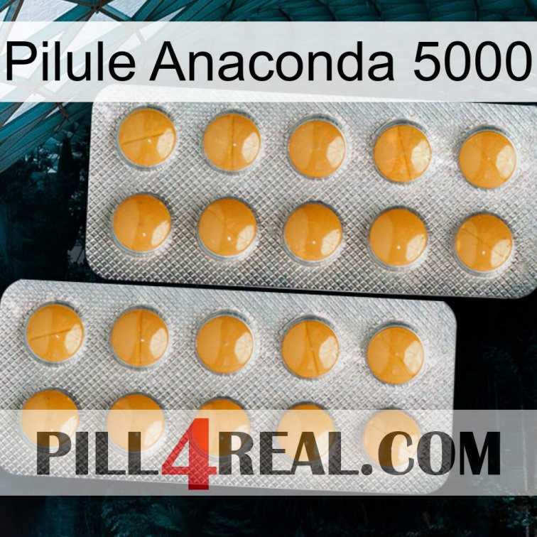 Anaconda 5000 Pill levitra2